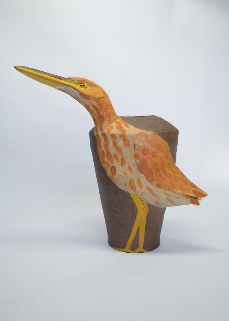 Sarah Conti - American Bittern Vessel