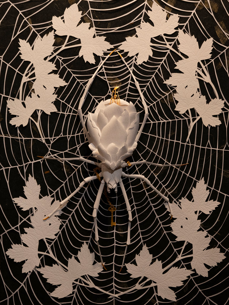 Marisa Ware - Arachne