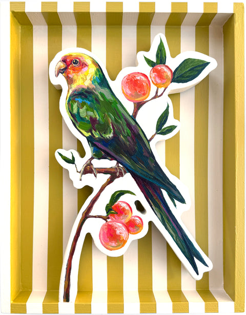 Emily Furr - Carolina Parakeet