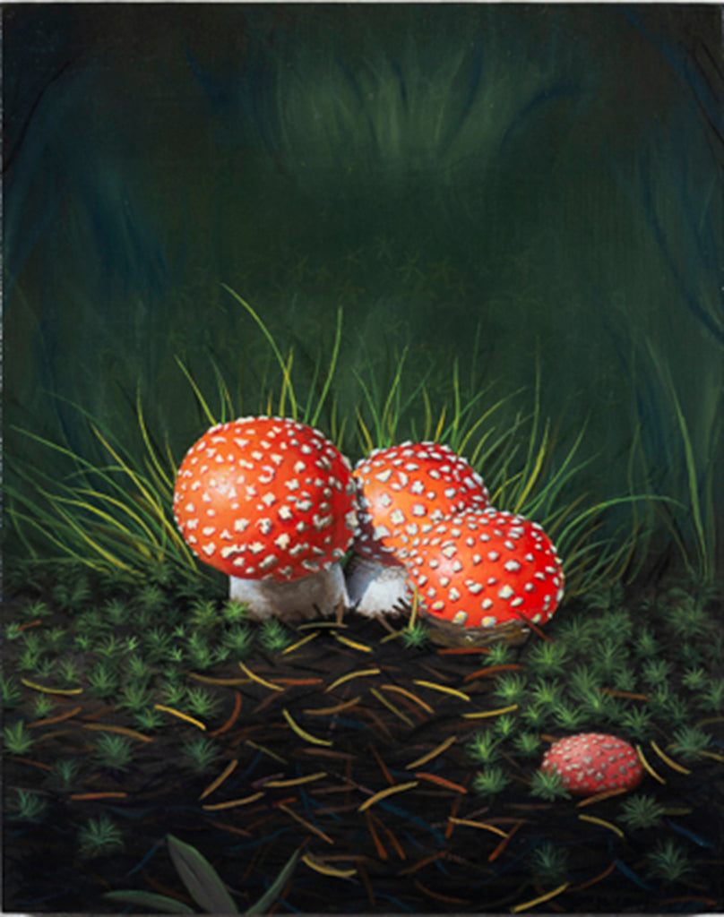 Michelle F. Mitchell - Amanita Troupe