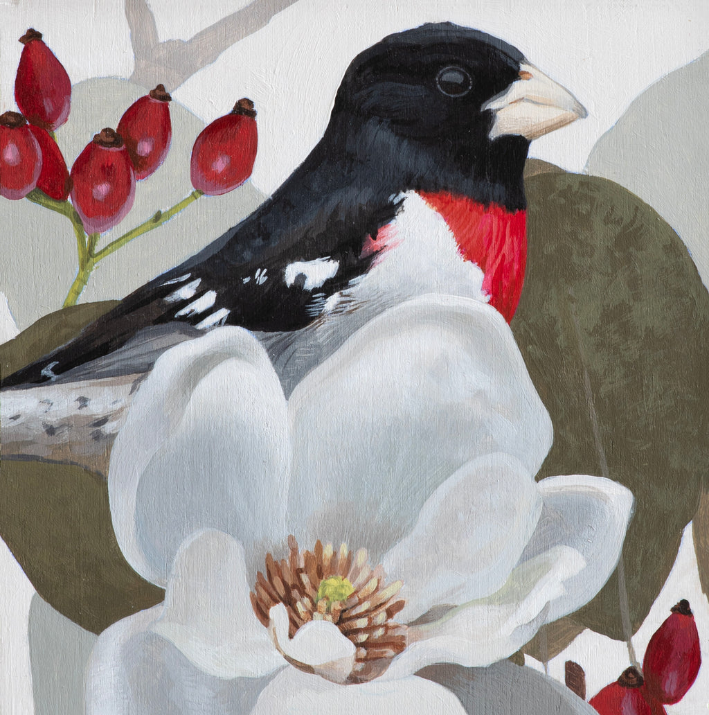 Shae Warnick - Grosbeak &amp; Magnolia