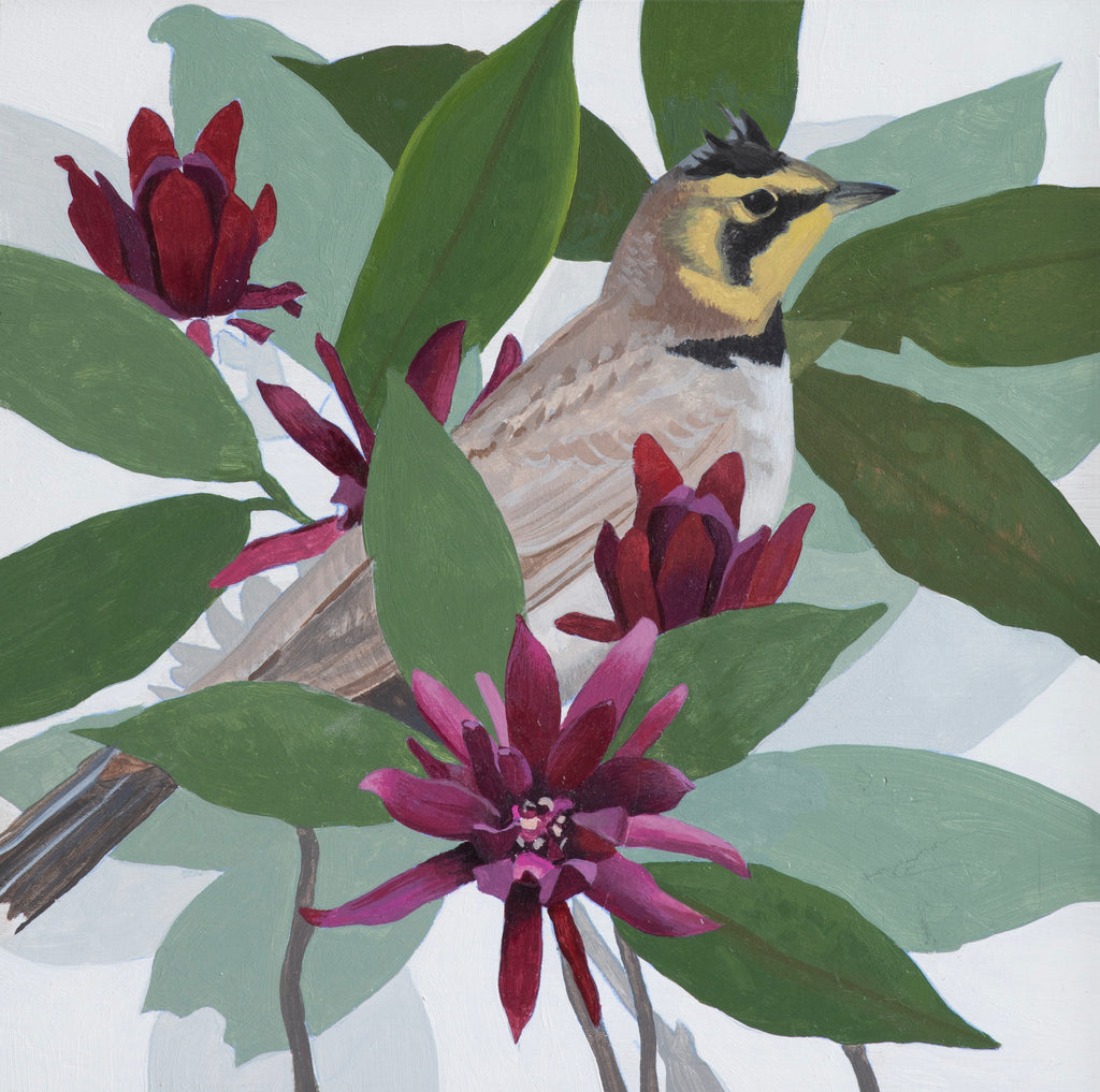 Shae Warnick - Horned Lark &amp; Spicebush