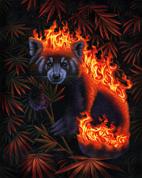 Casey Weldon - Fox Fire