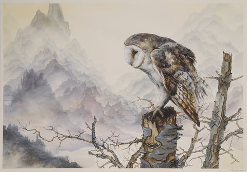 Brian Mashburn - Barn Owl Perched in Treetops