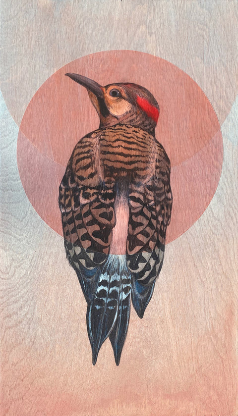 Amy Ruppel - Flicker