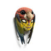 Calvin Ma -  Blend In Mask: Eastern Rosella