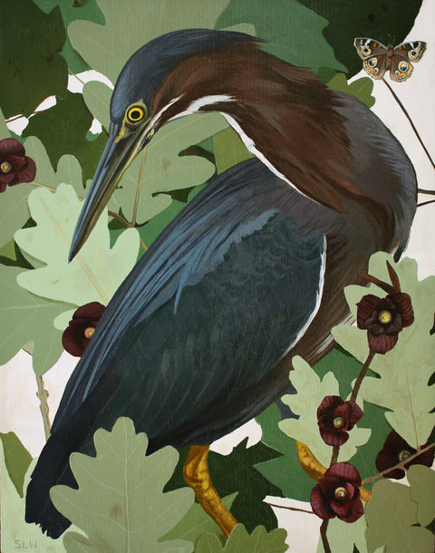 Shae Warnick - Green Heron and Buckeye