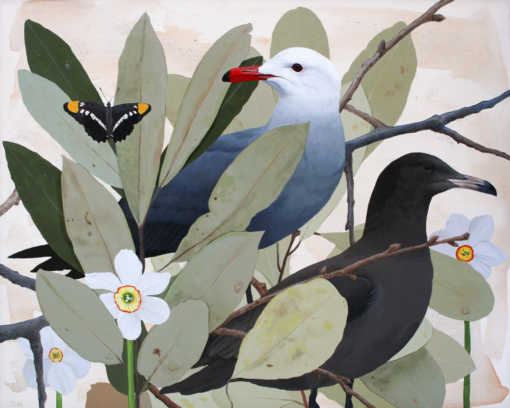 Shae Warnick - Heermann’s Gull and California Sister