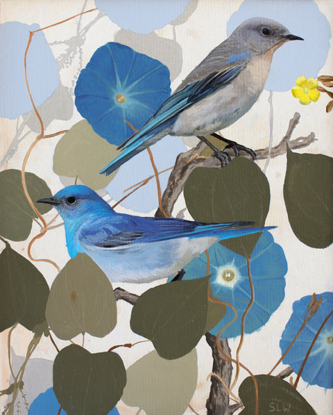 Shae Warnick - Mountain Bluebird and Morning Glory