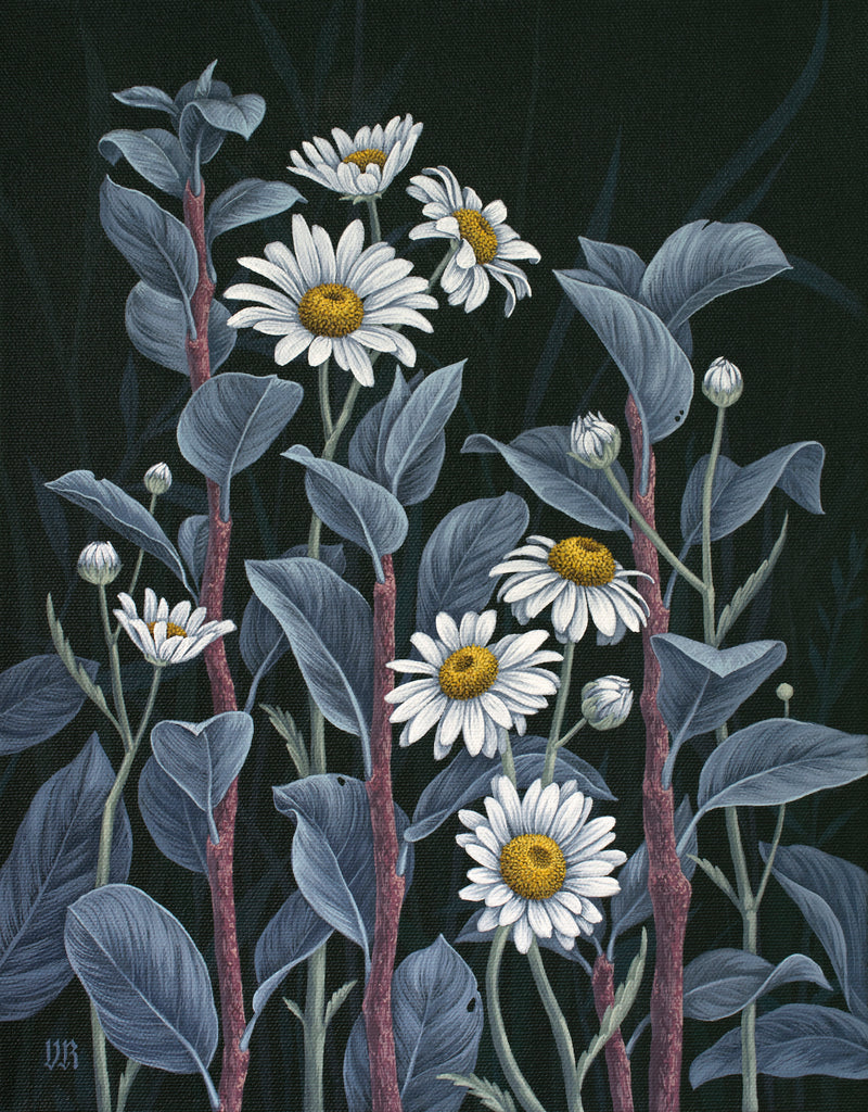 Vasilisa Romanenko - Daisies