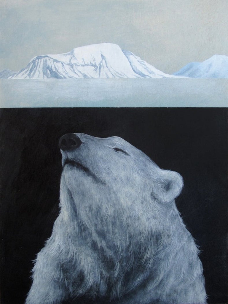 Amy Ruppel - Arctic Shift