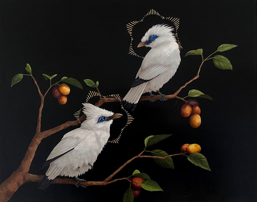 Kristin Bell - Bali Myna