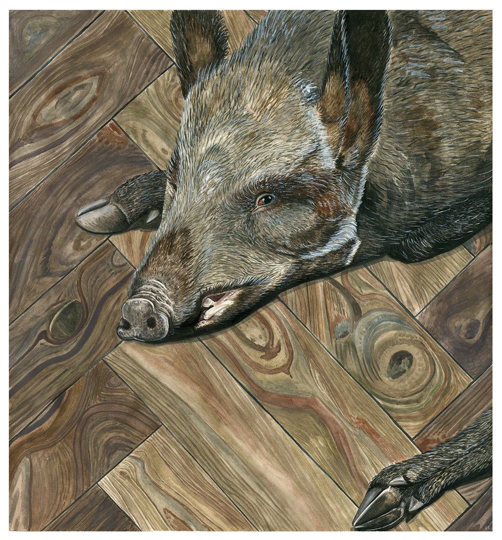 Adam Batchelor - Wild Boar on Parquet