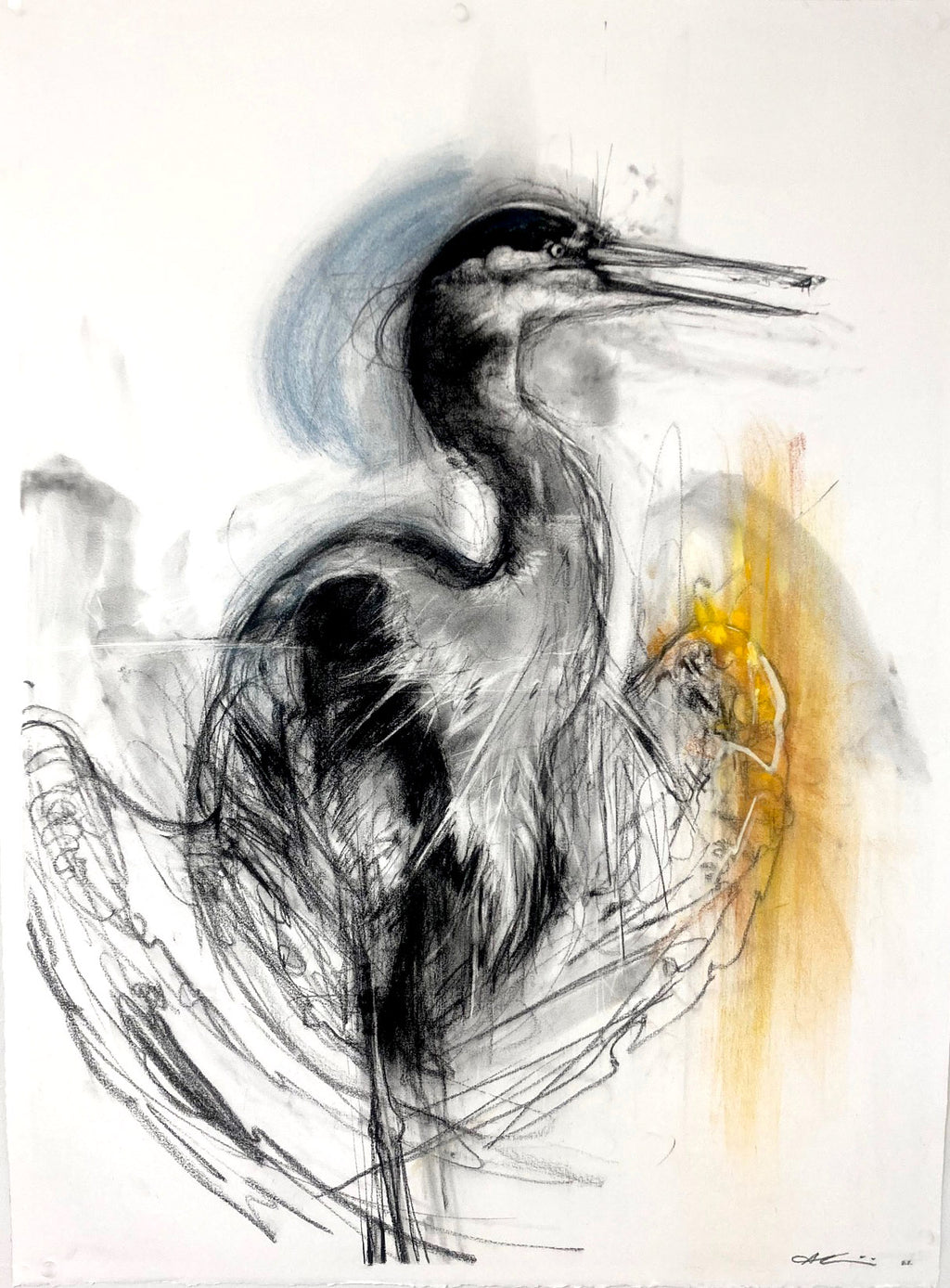 April Coppini - Blue Heron, Warming Up