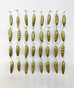 Bethany Krull - Chrysalis Specimen Grid