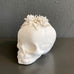 Jacqueline Tse - White Skull 1