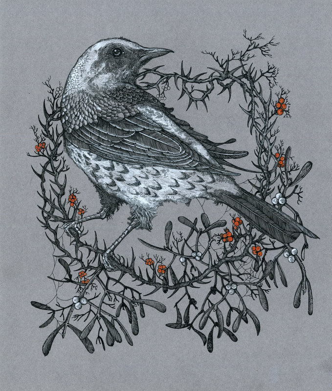 Sin Eater - The Lonely Fieldfare