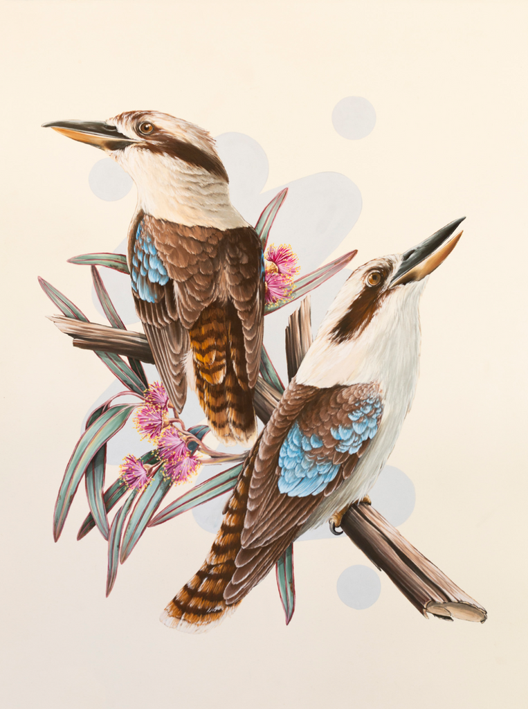 Thomas Jackson - ‘Laughing Kookaburra on flowering Iornbark’