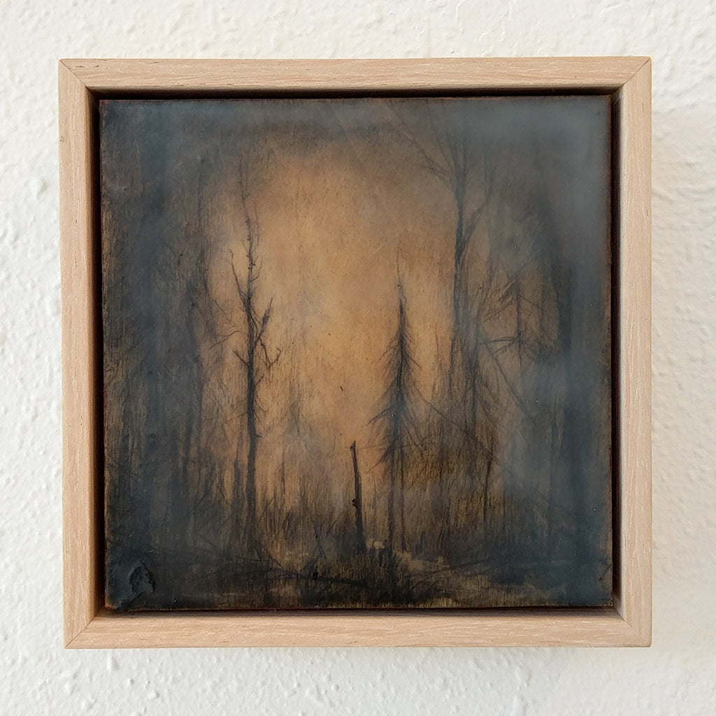 Amanda Kavanagh - “Winter Woods 1”